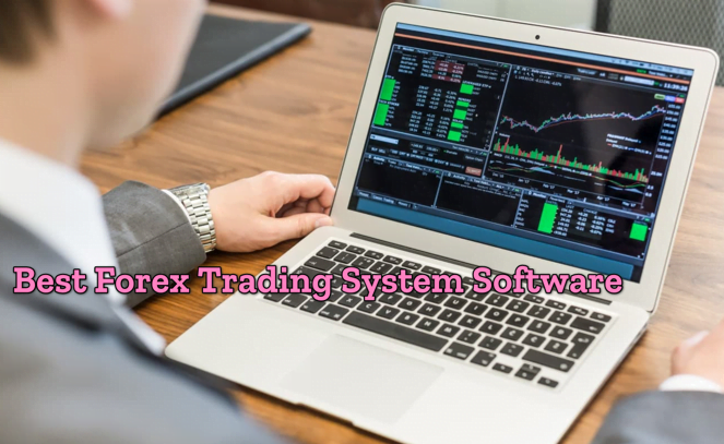 Best forex trading system software wh betting line